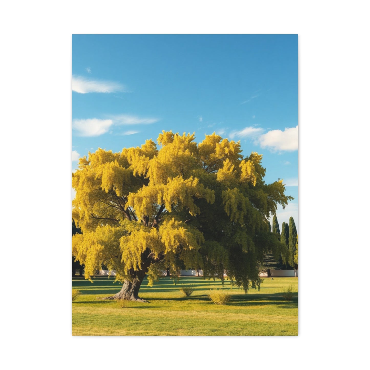 Sylvan Reverie Decor Wall Art & Canvas Print