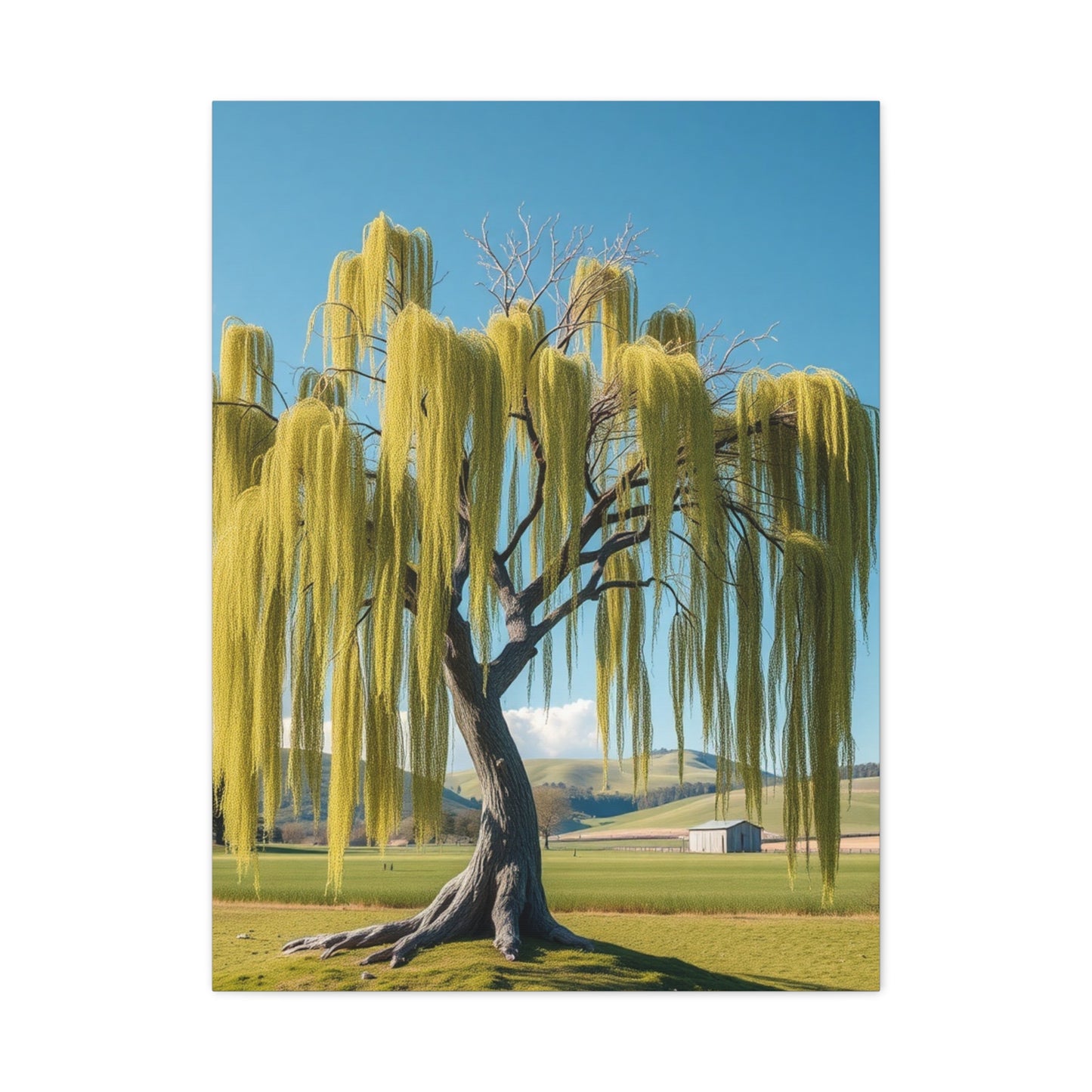 Elite Willow Tree Art Vision Wall Art & Canvas Print