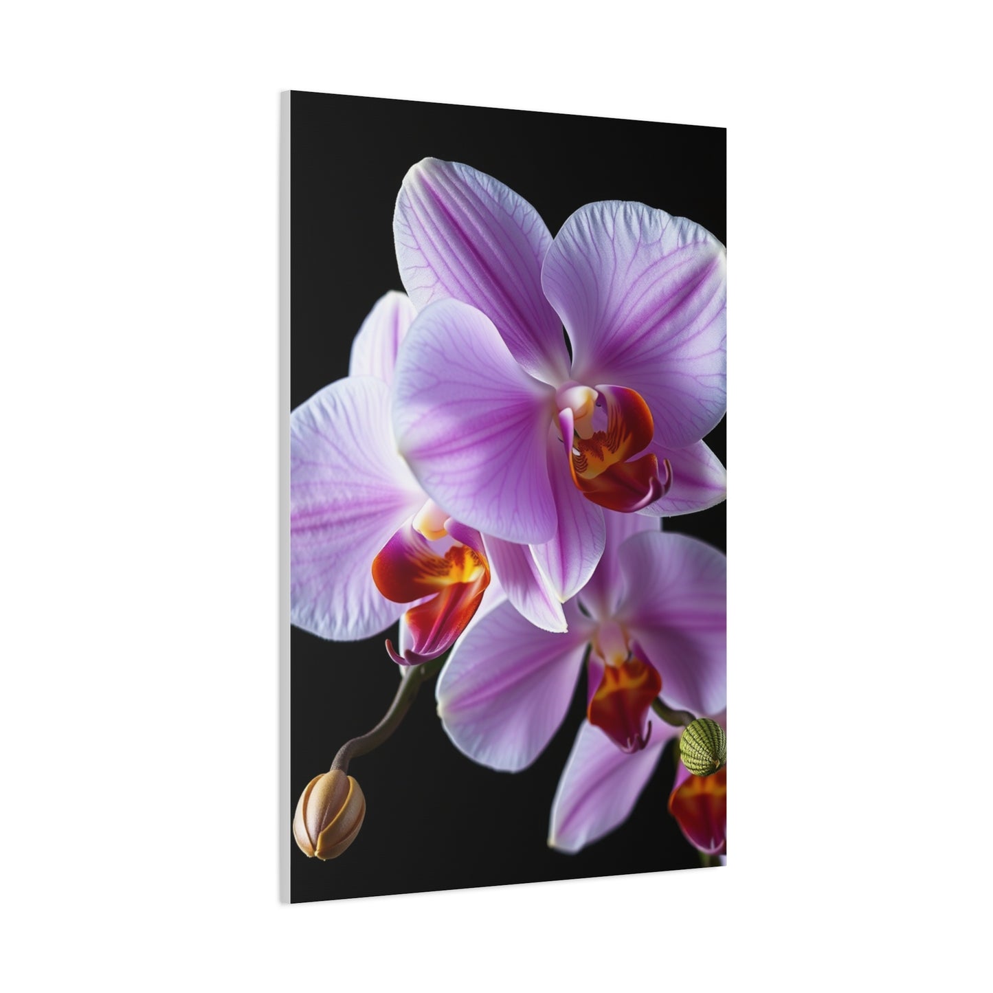 Orchid Flower Art Luxury Canvas Wall Art & Canvas Print
