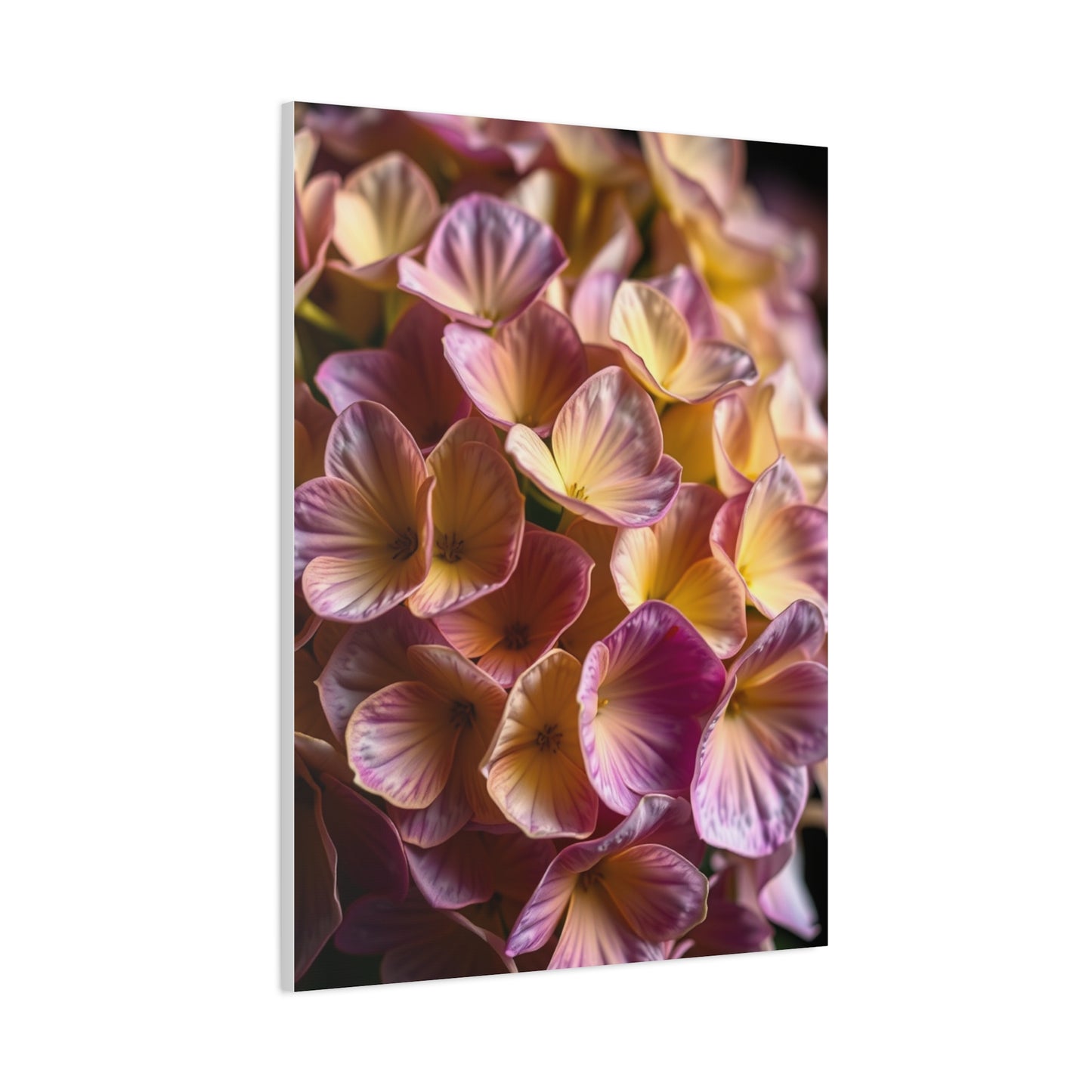 Supreme Hydrangea Flower Art Collection Wall Art & Canvas Print