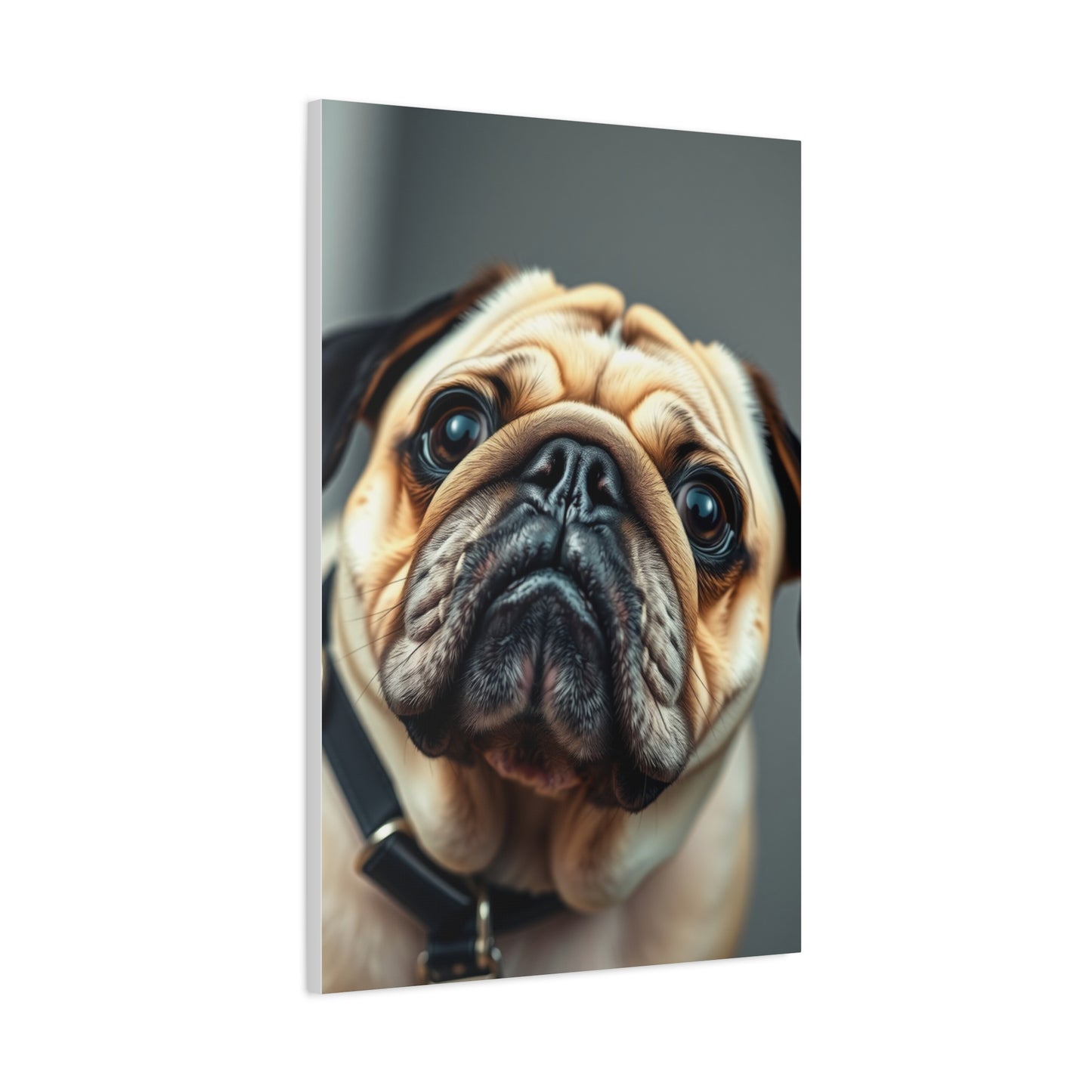 Pug Art Supreme Gallery Wall Art & Canvas Print
