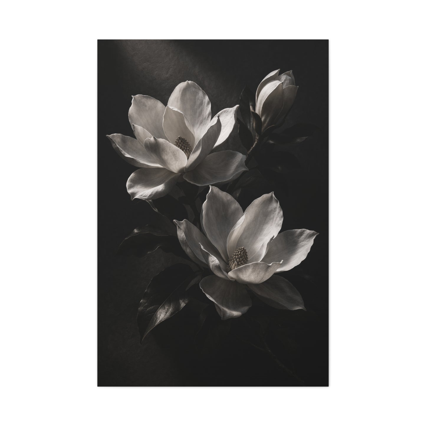 Charcoal Magnolia Floral Wall Art & Canvas Print