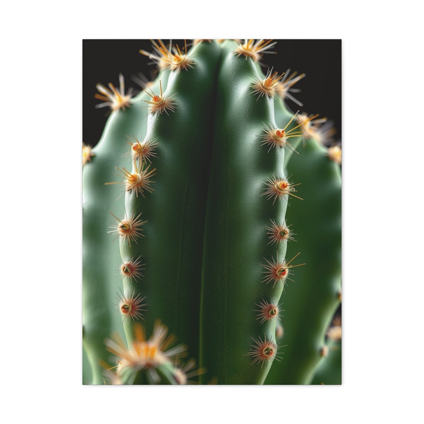 Arid Majesty Canvas Wall Art & Canvas Print