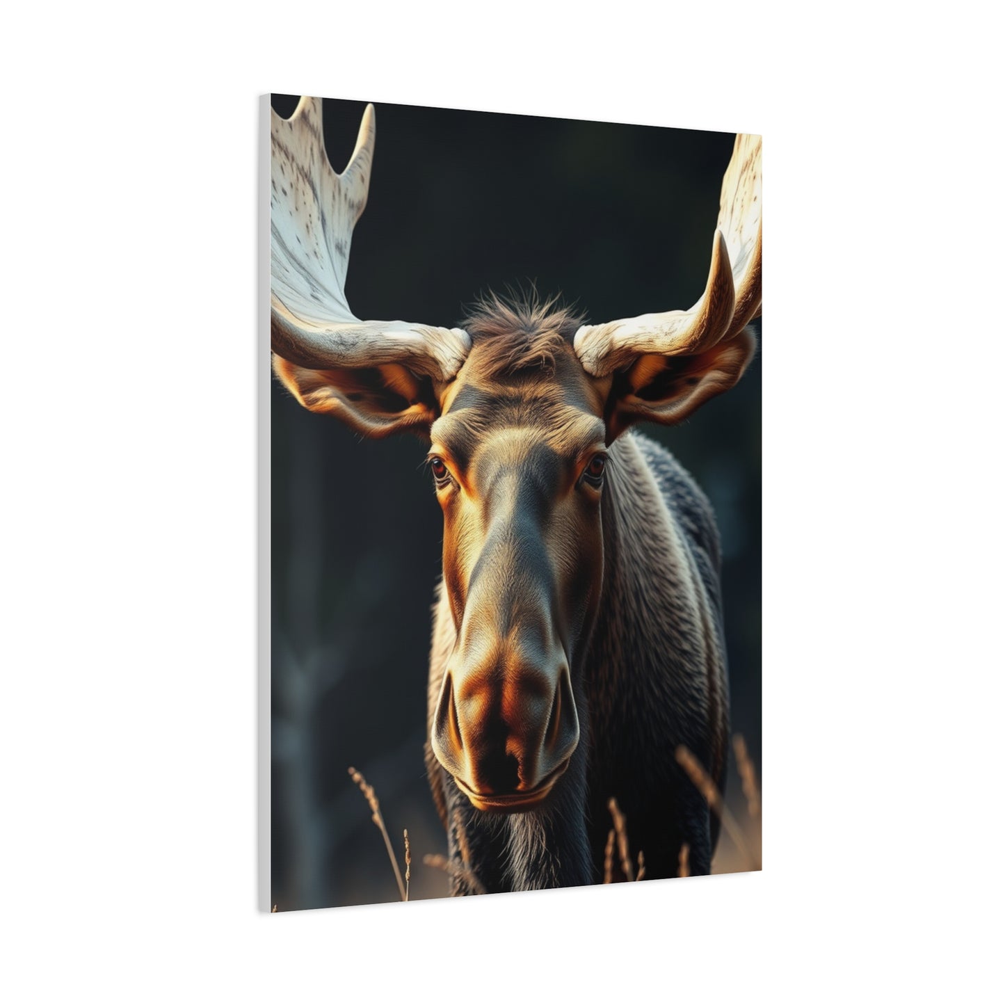 Moose Art Supreme Gallery Wall Art & Canvas Print