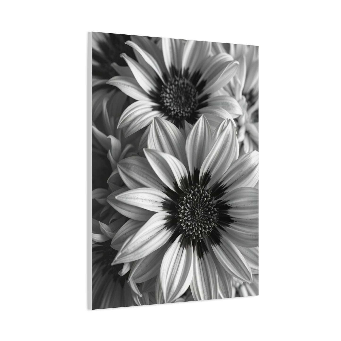 Ebon & Ivory Petal Harmony Wall Art & Canvas Print
