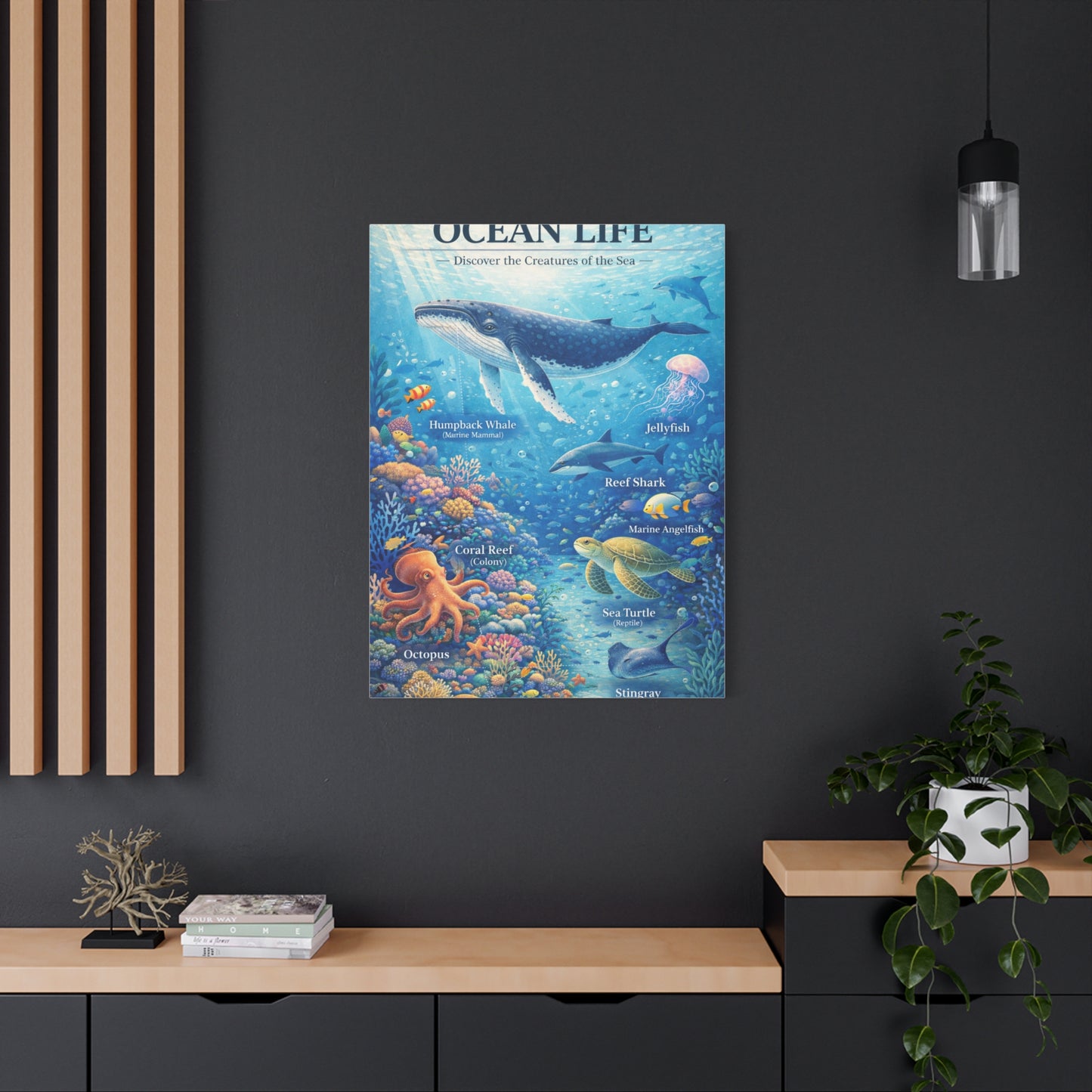 Ocean Life Educational Diagram – Wall Art & Canvas Print