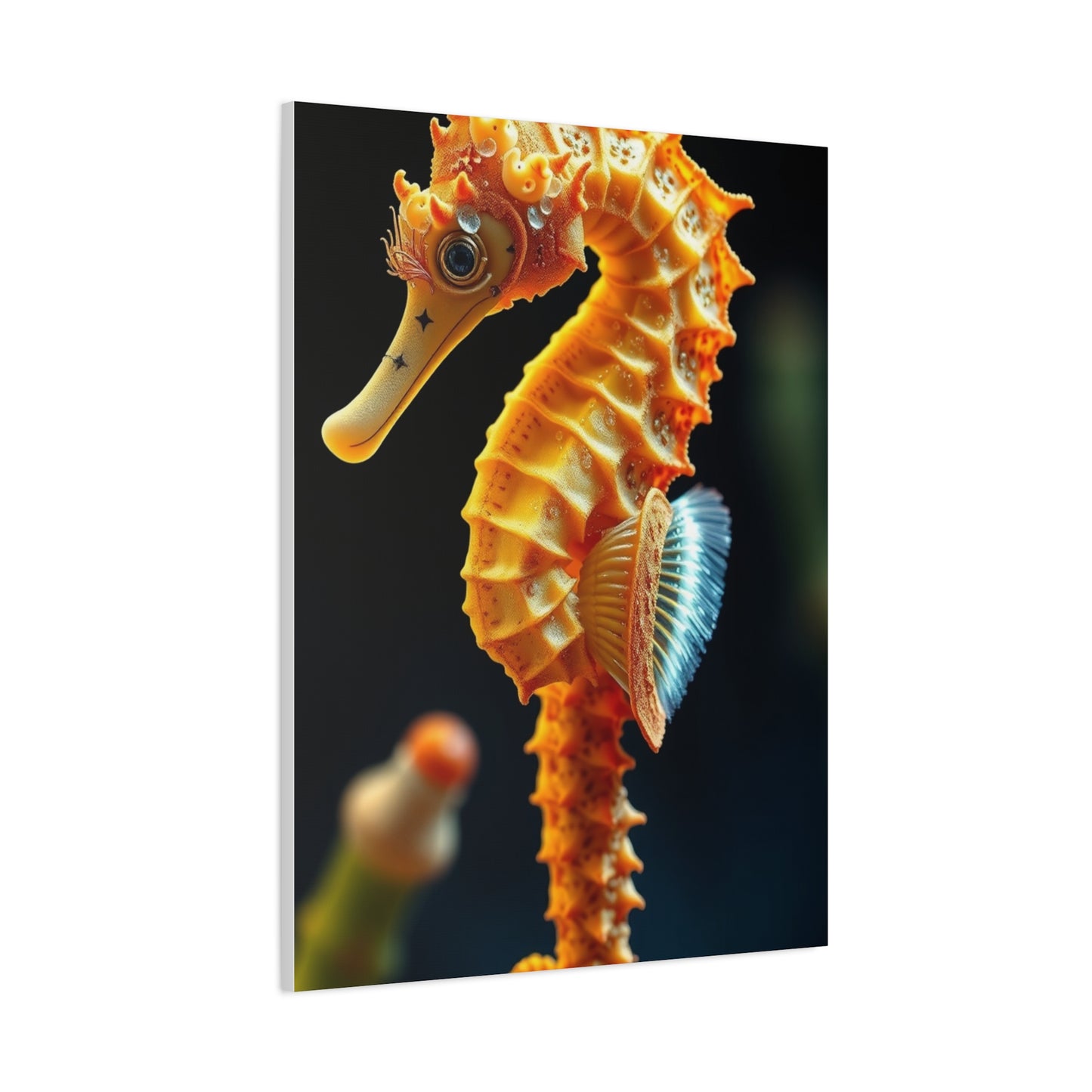 Seahorse Art Luxury Canvas Wall Art & Canvas Print