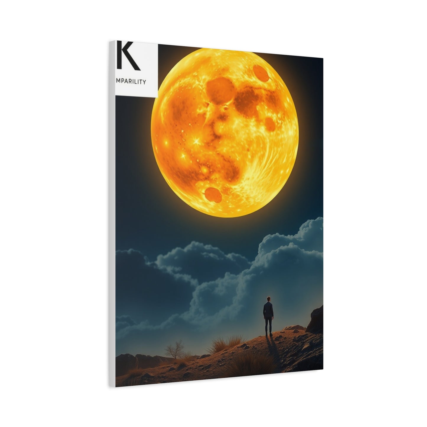 Moonlit Harmony Canvas Wall Art & Canvas Print