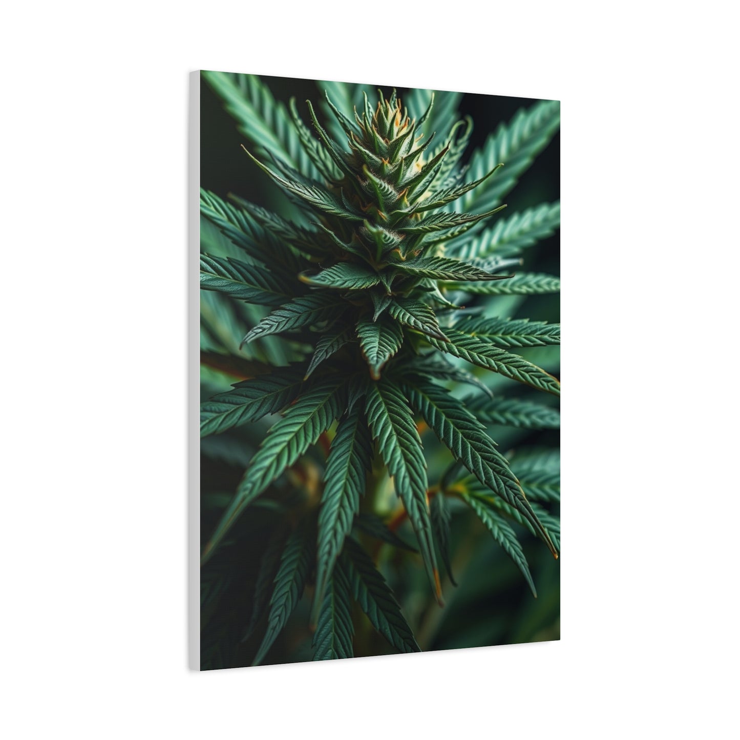 Ethereal Greenscape Art Wall Art & Canvas Print