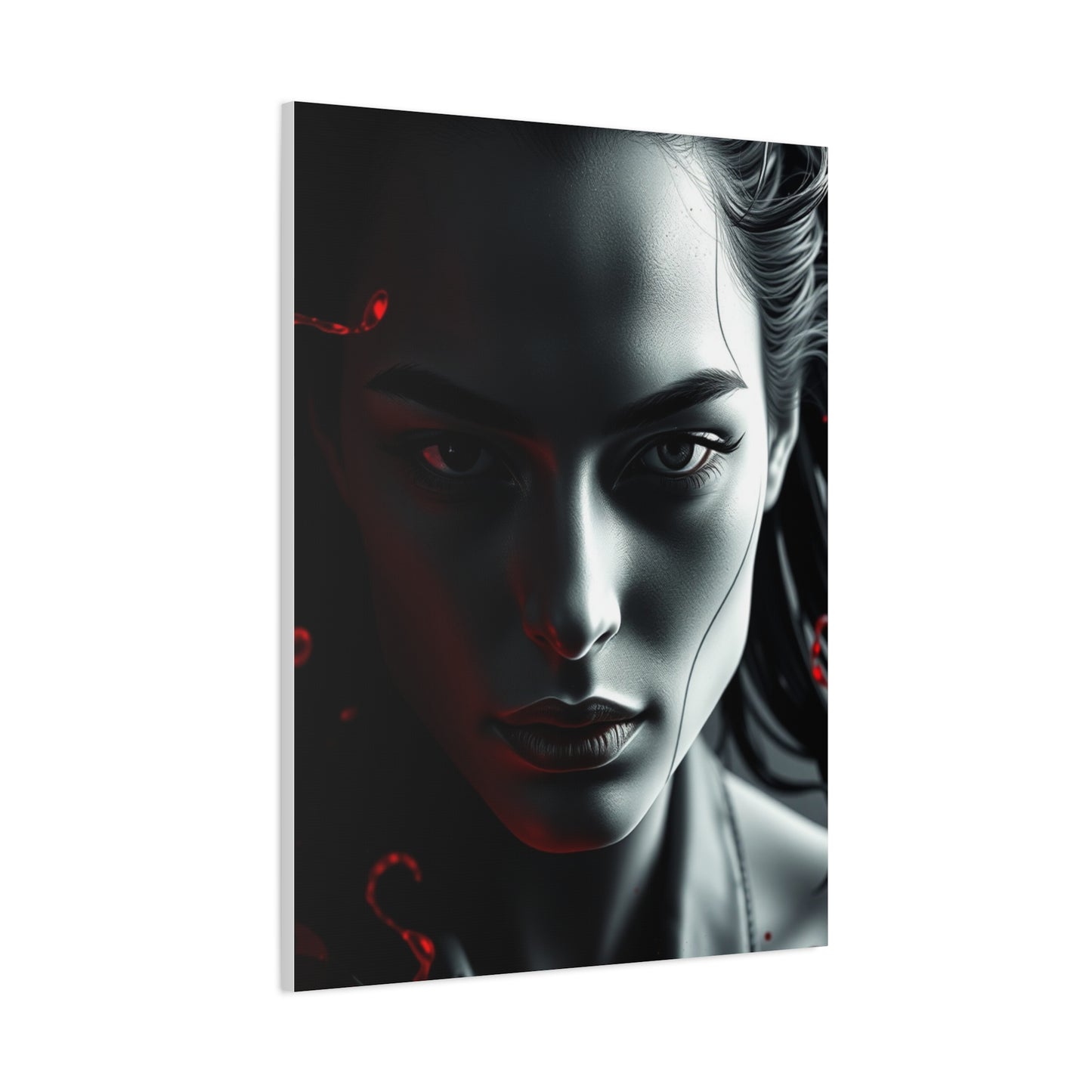 Black, White & Red Art Luxury Canvas Wall Art & Canvas Print