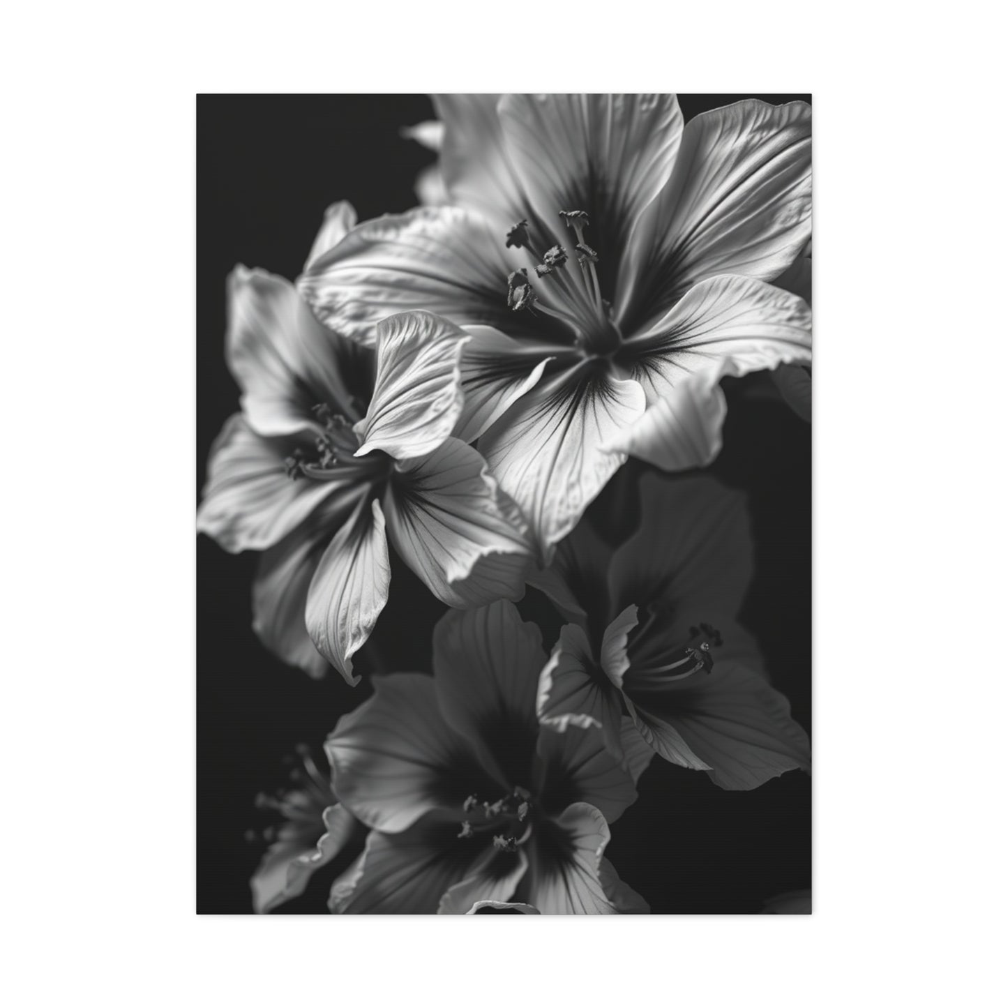 Noir & Blanc Floral Symphony Wall Art & Canvas Print