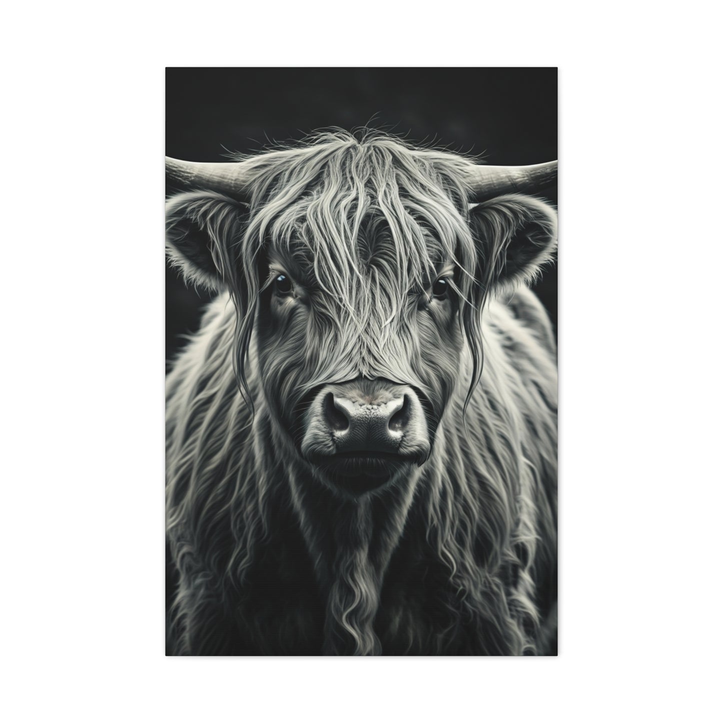 Highland Longhorn Portrait Wall Art & Canvas Prints