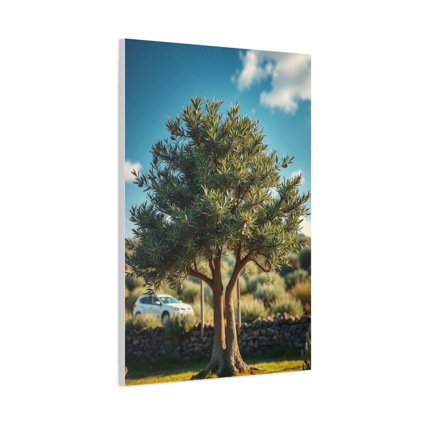 Olive Tree Art Refined Canvas Wall Art & Canvas Print