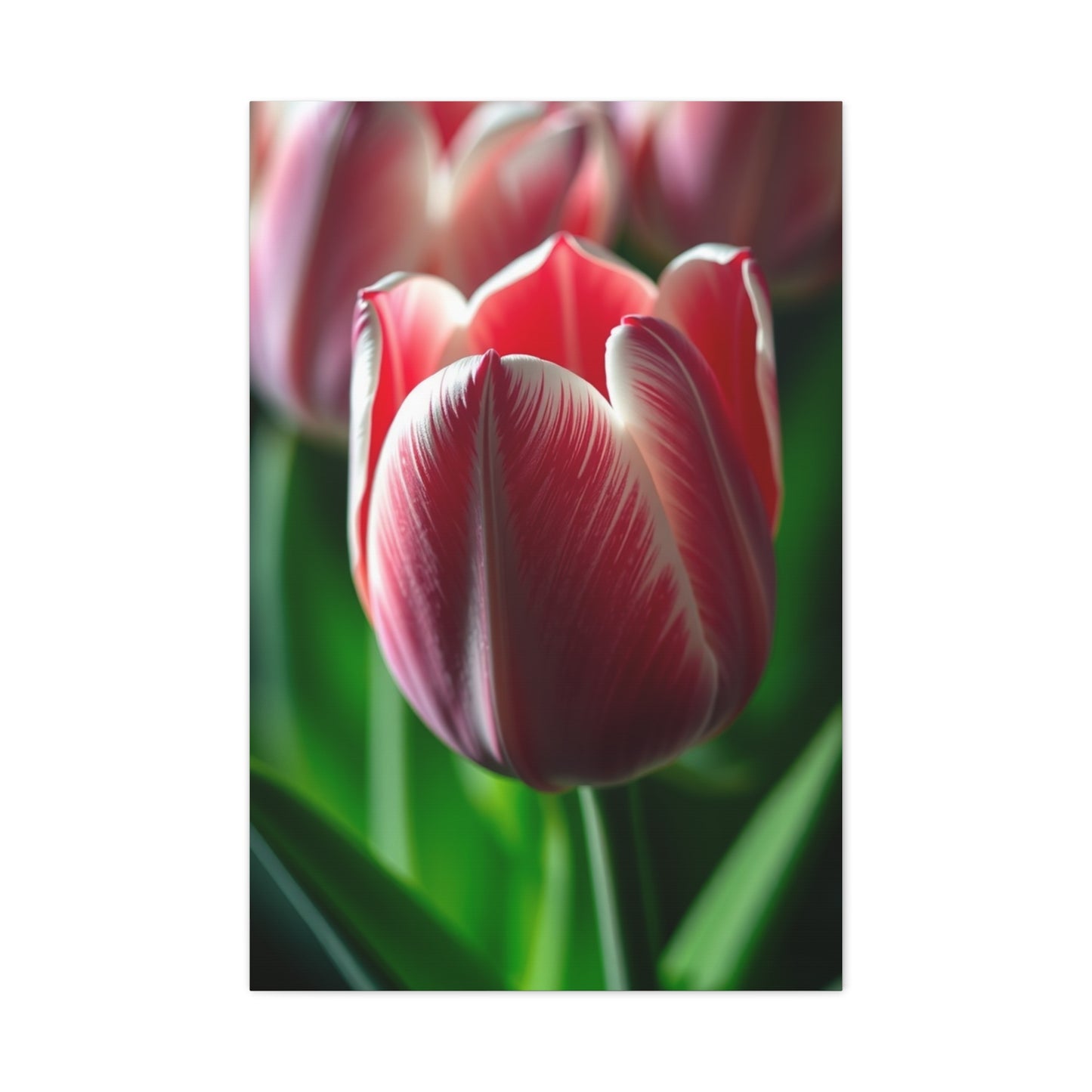 Supreme Tulip Flower Art Collection Wall Art & Canvas Print