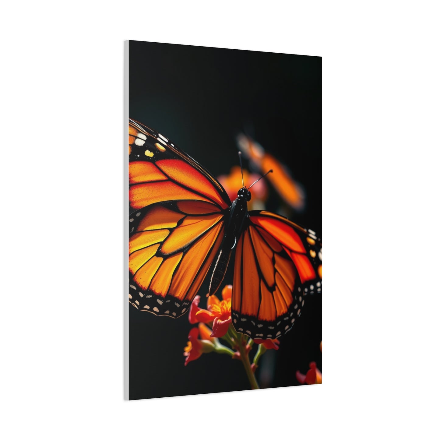 Elite Monarch Butterflies Art Vision Wall Art & Canvas Print