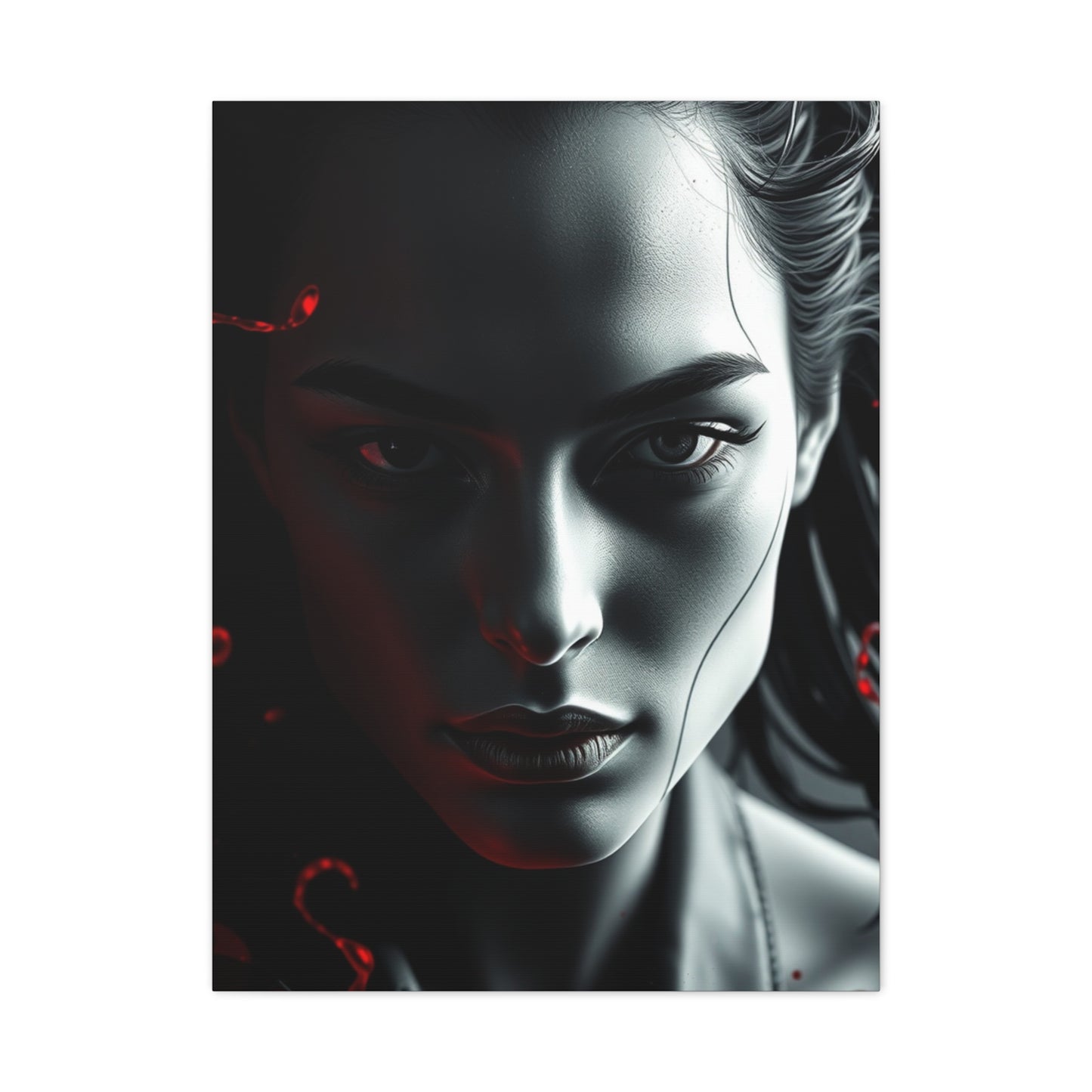 Black, White & Red Art Luxury Canvas Wall Art & Canvas Print