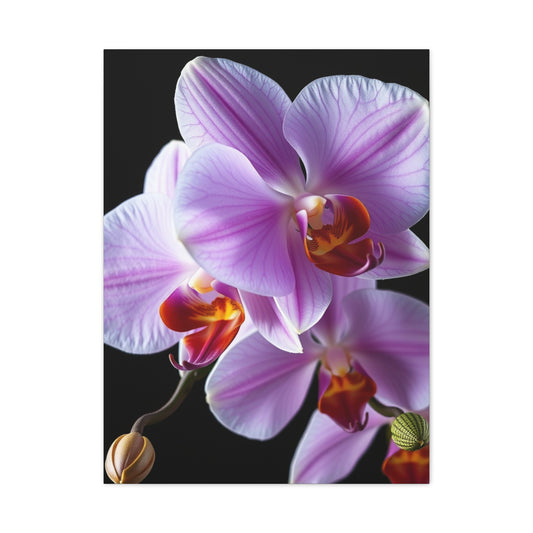 Orchid Flower Art Luxury Canvas Wall Art & Canvas Print