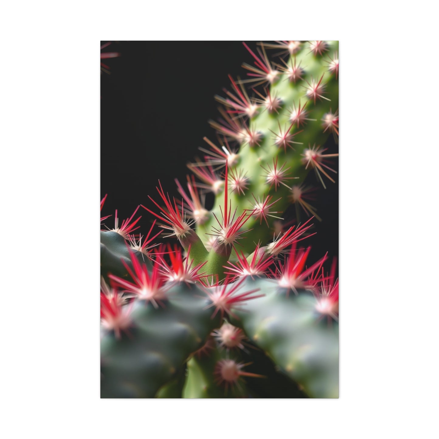 Succulent Symphony Wall Art Wall Art & Canvas Print