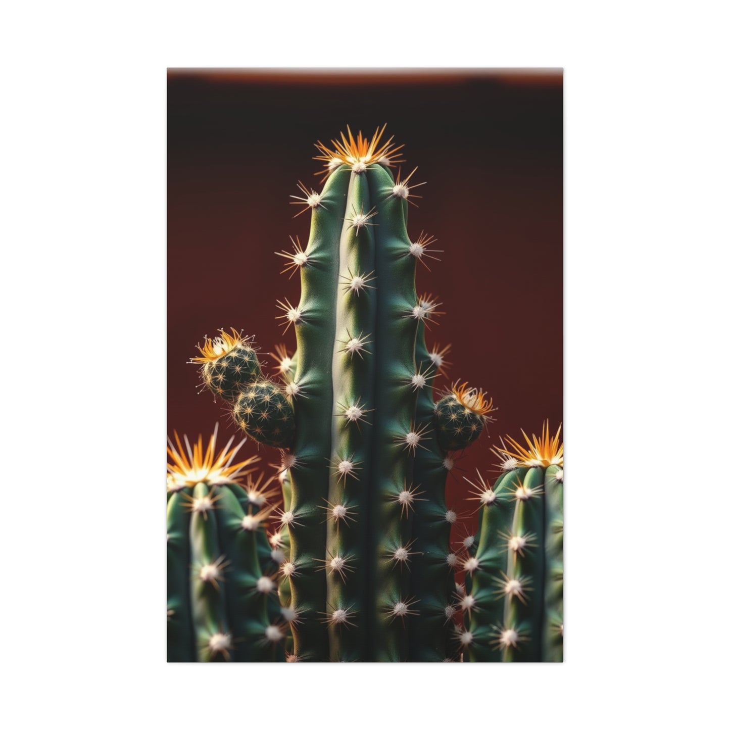 Prickly Serenity Artwork Wall Art & Canvas Print