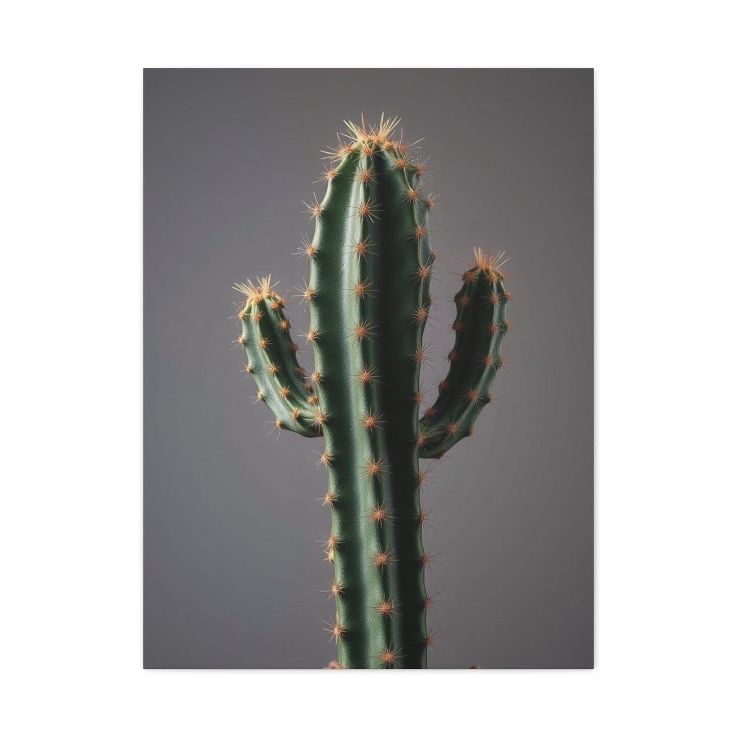 Succulent Reverie Art Wall Art & Canvas Print