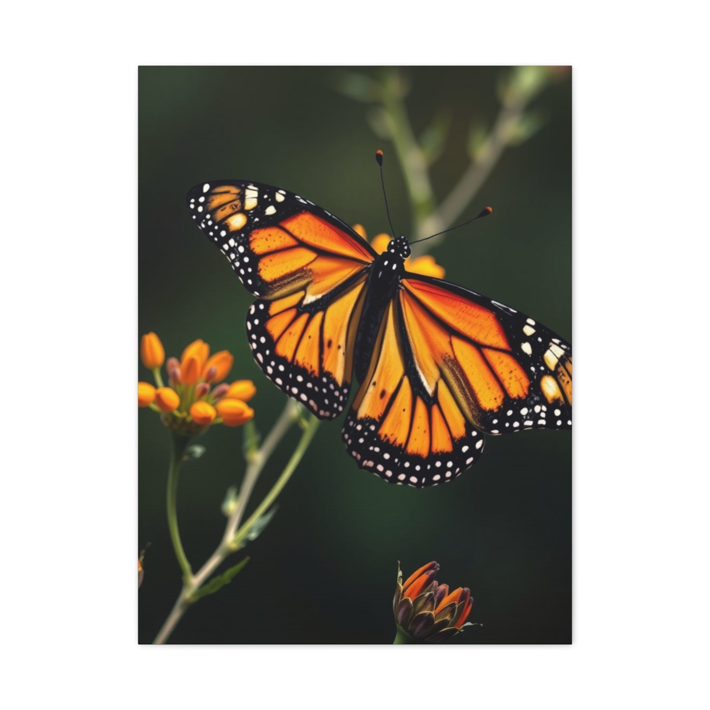 Masterpiece Monarch Butterflies Art Vision Wall Art & Canvas Print