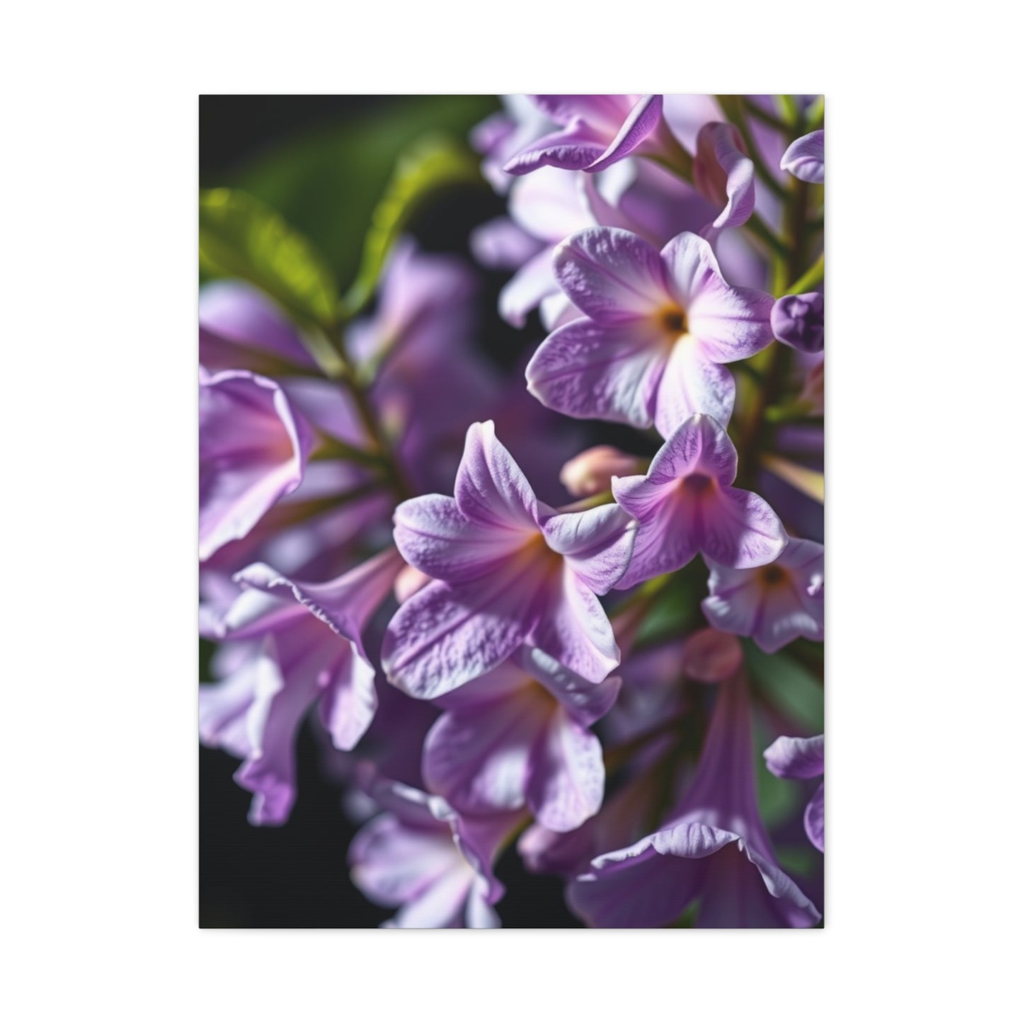 Vision Lilac Flower Art Art Wall Art & Canvas Print