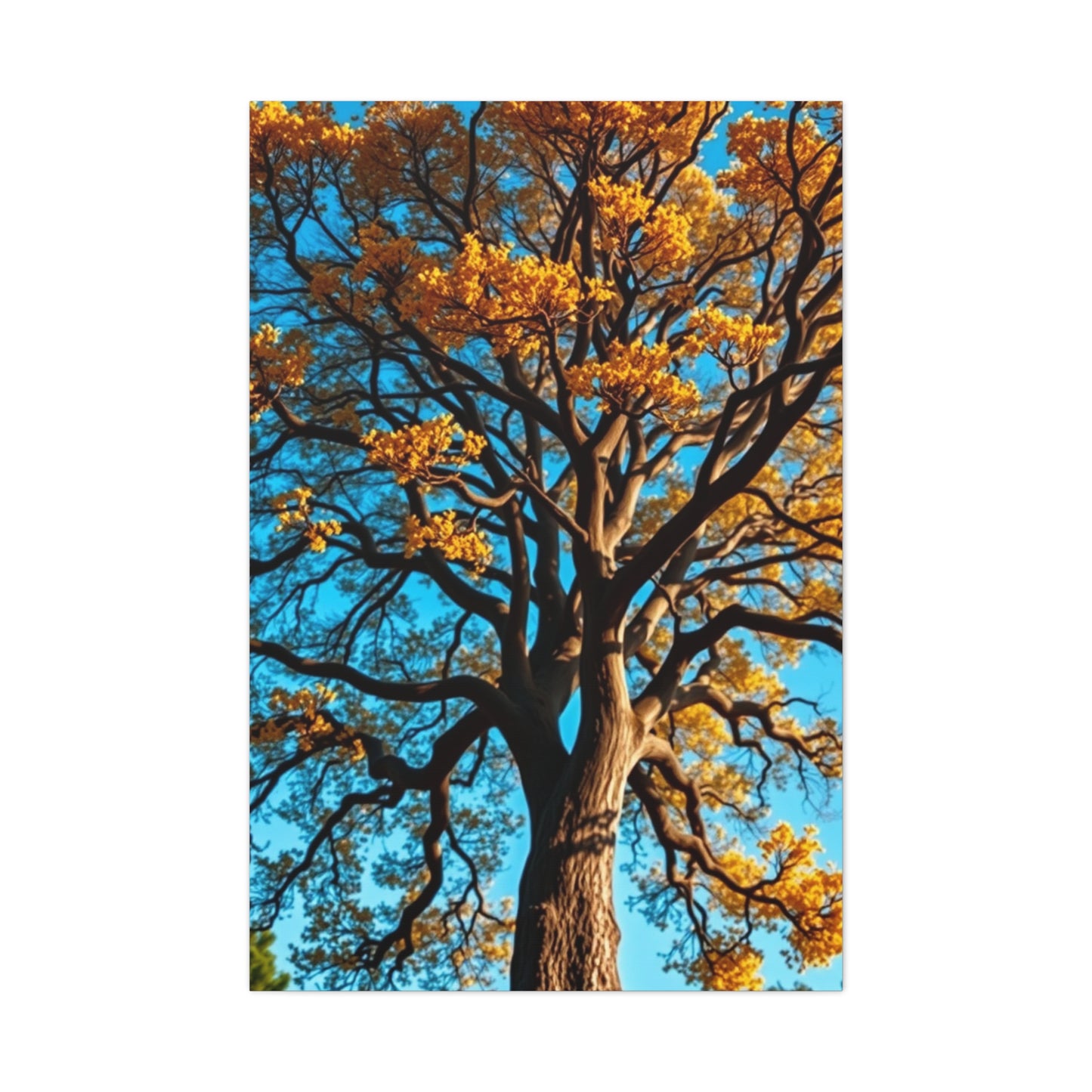 Majestic Grove Masterpiece Wall Art & Canvas Print