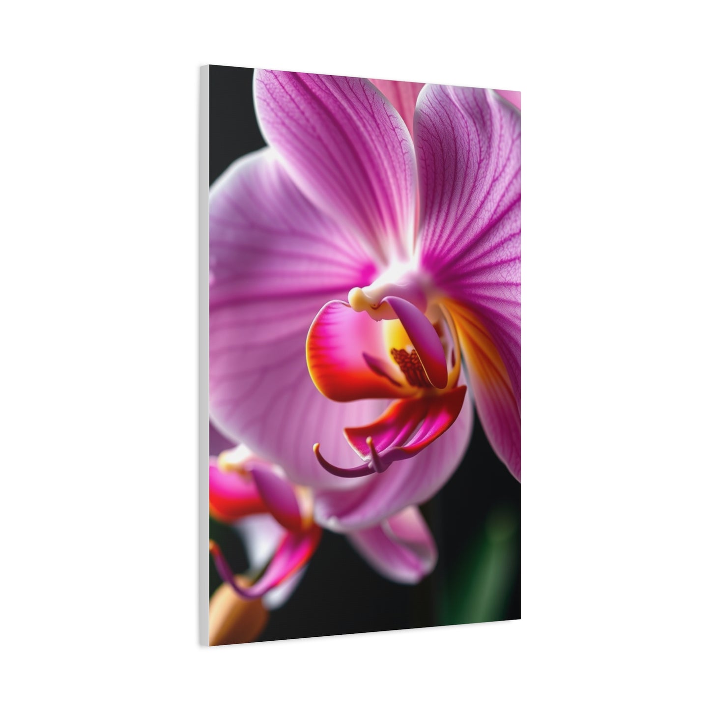 Masterpiece Orchid Flower Art Vision Wall Art & Canvas Print