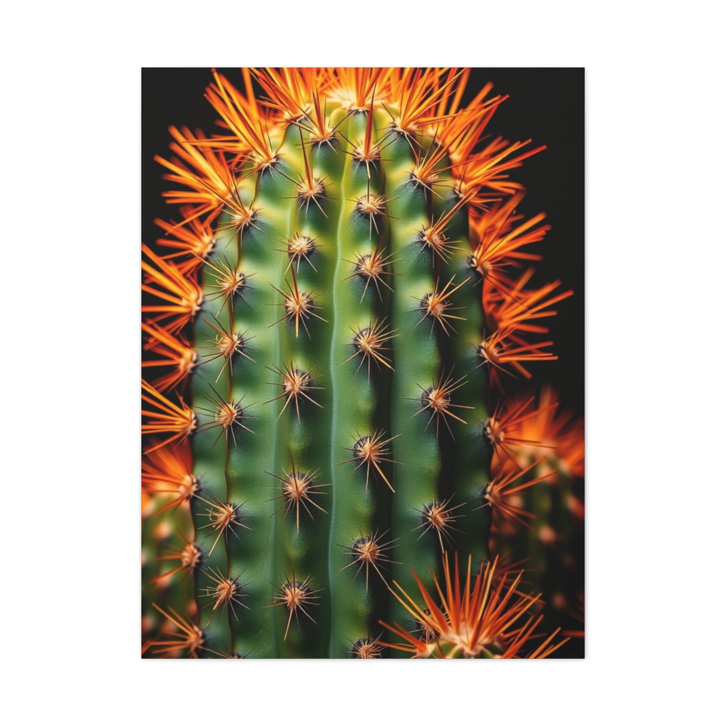 Desert Blossom Art Wall Art & Canvas Print