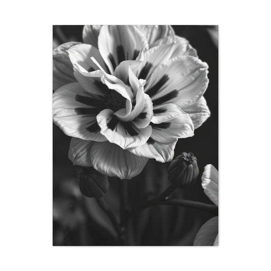 Chiaroscuro Botanical Canvas Wall Art & Canvas Print