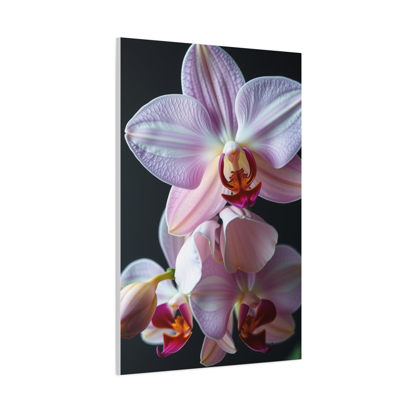 Collection Orchid Flower Art Art Wall Art & Canvas Print