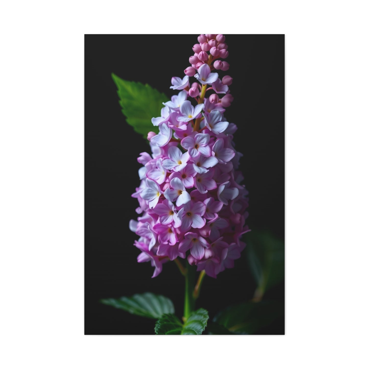 Supreme Lilac Flower Art Collection Wall Art & Canvas Print