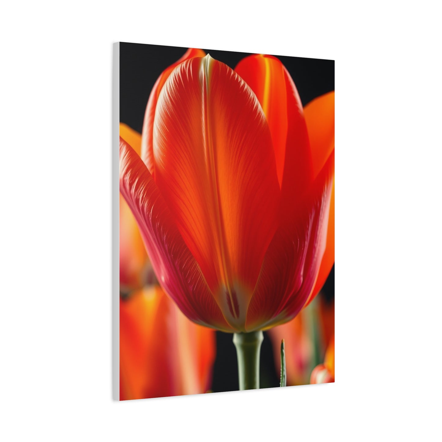 Elite Tulip Flower Art Vision Wall Art & Canvas Print