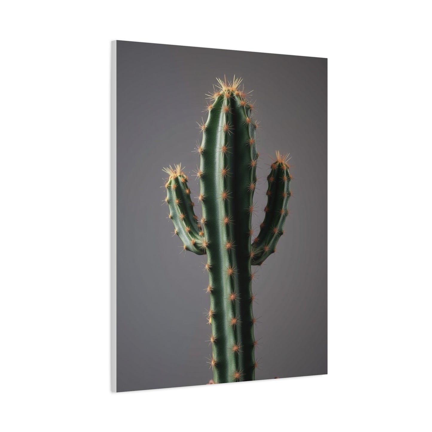 Succulent Reverie Art Wall Art & Canvas Print