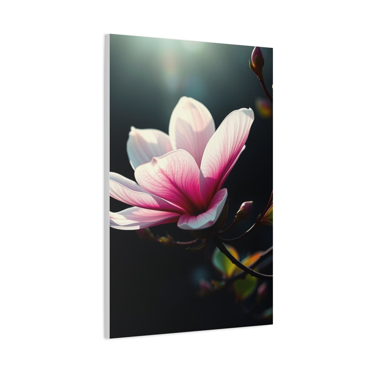 Vision Magnolia Art Art Wall Art & Canvas Print