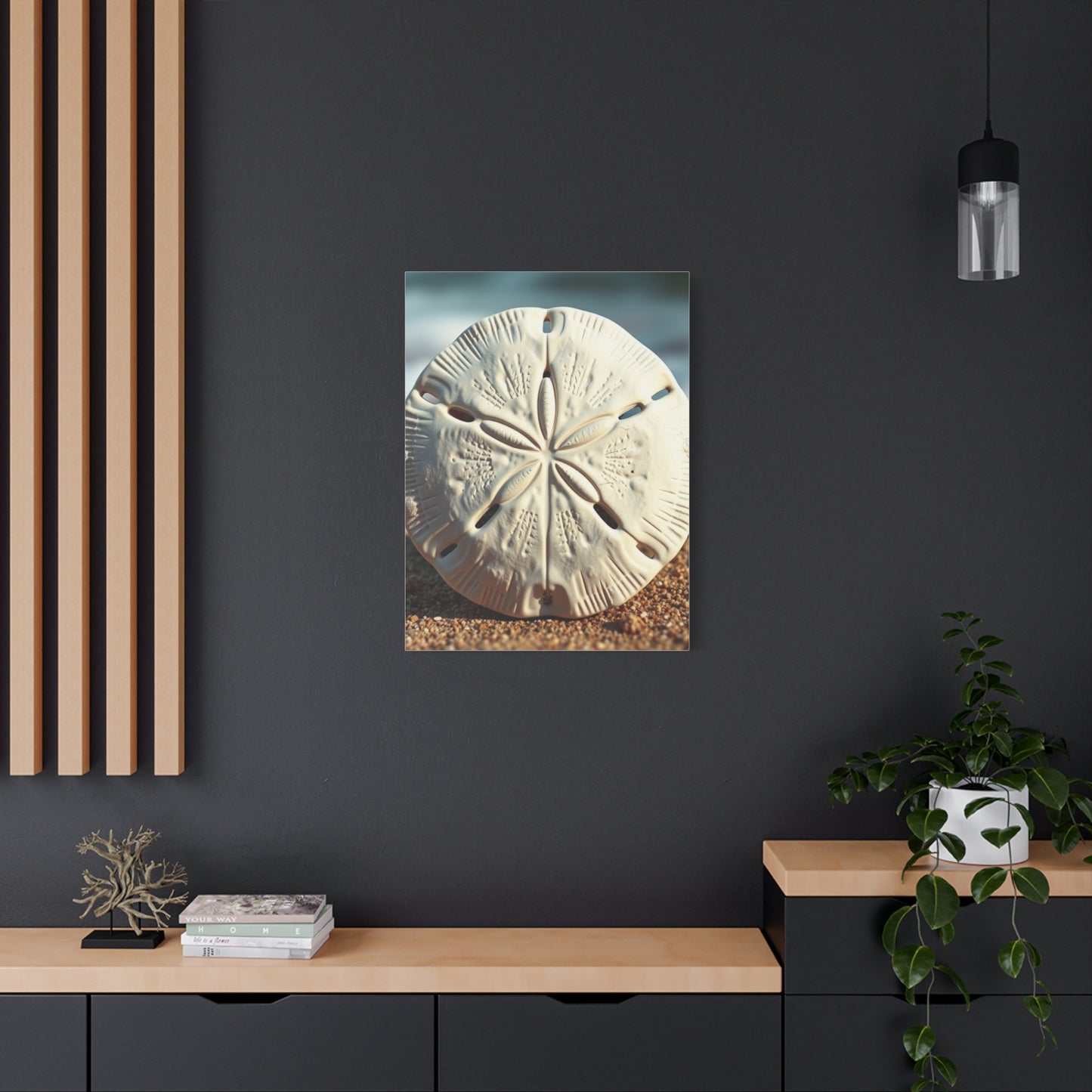 Supreme Sand Dollar Art Collection Wall Art & Canvas Print