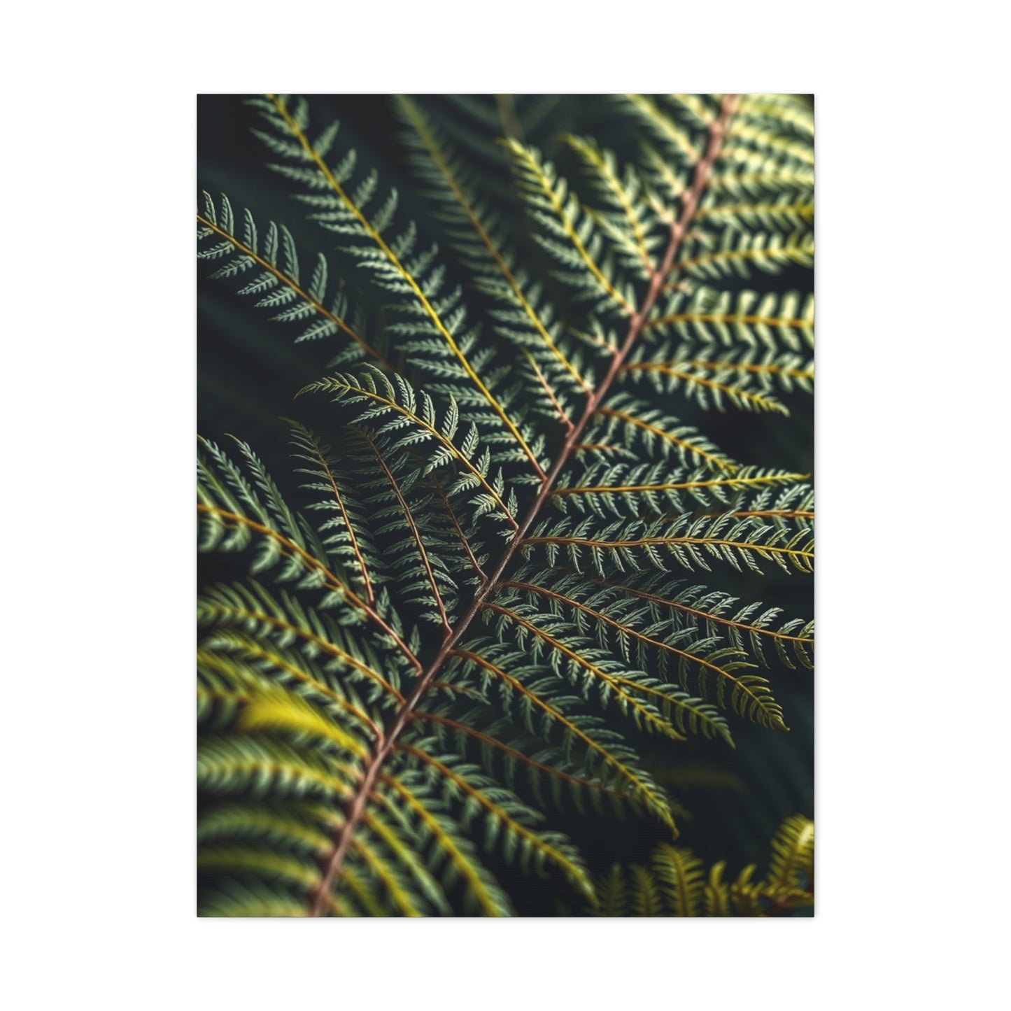 Supreme Fern Art Collection Wall Art & Canvas Print