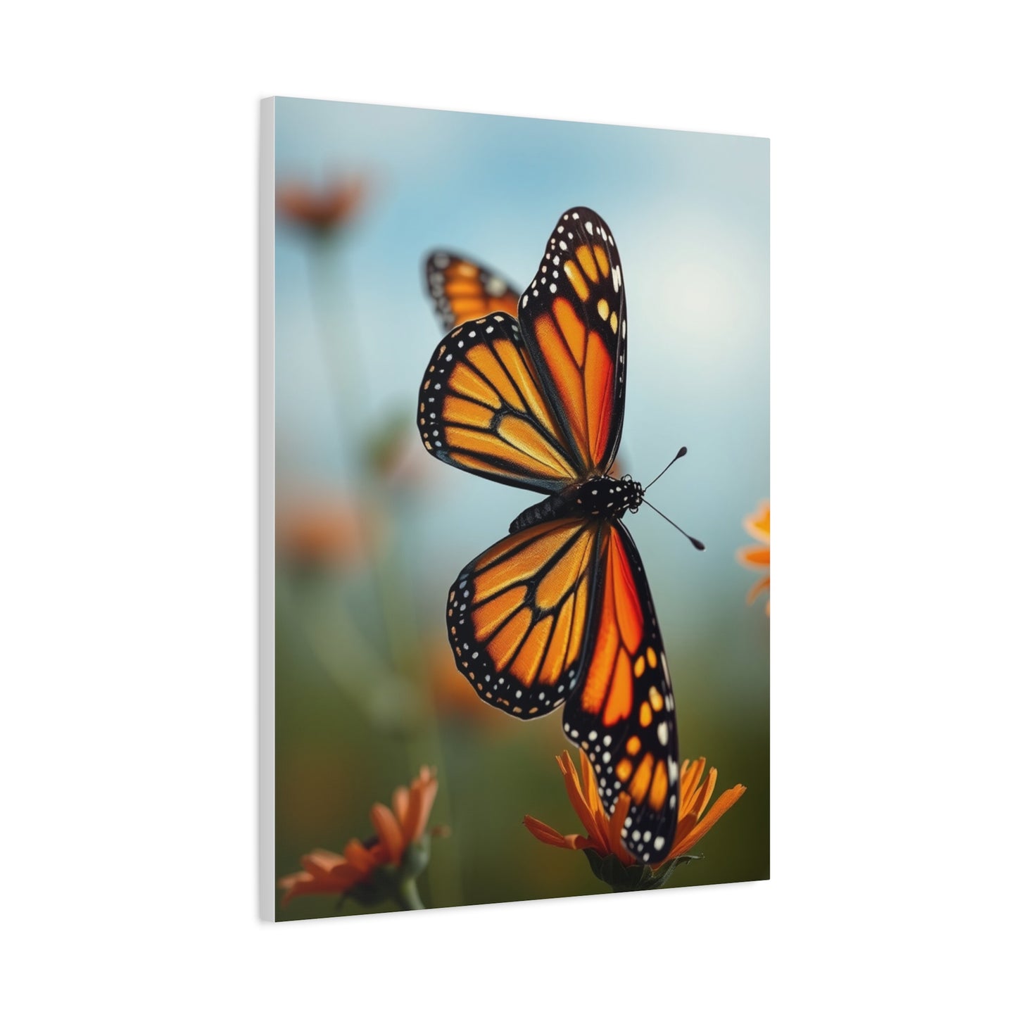 Monarch Butterflies Art Supreme Gallery Wall Art & Canvas Print