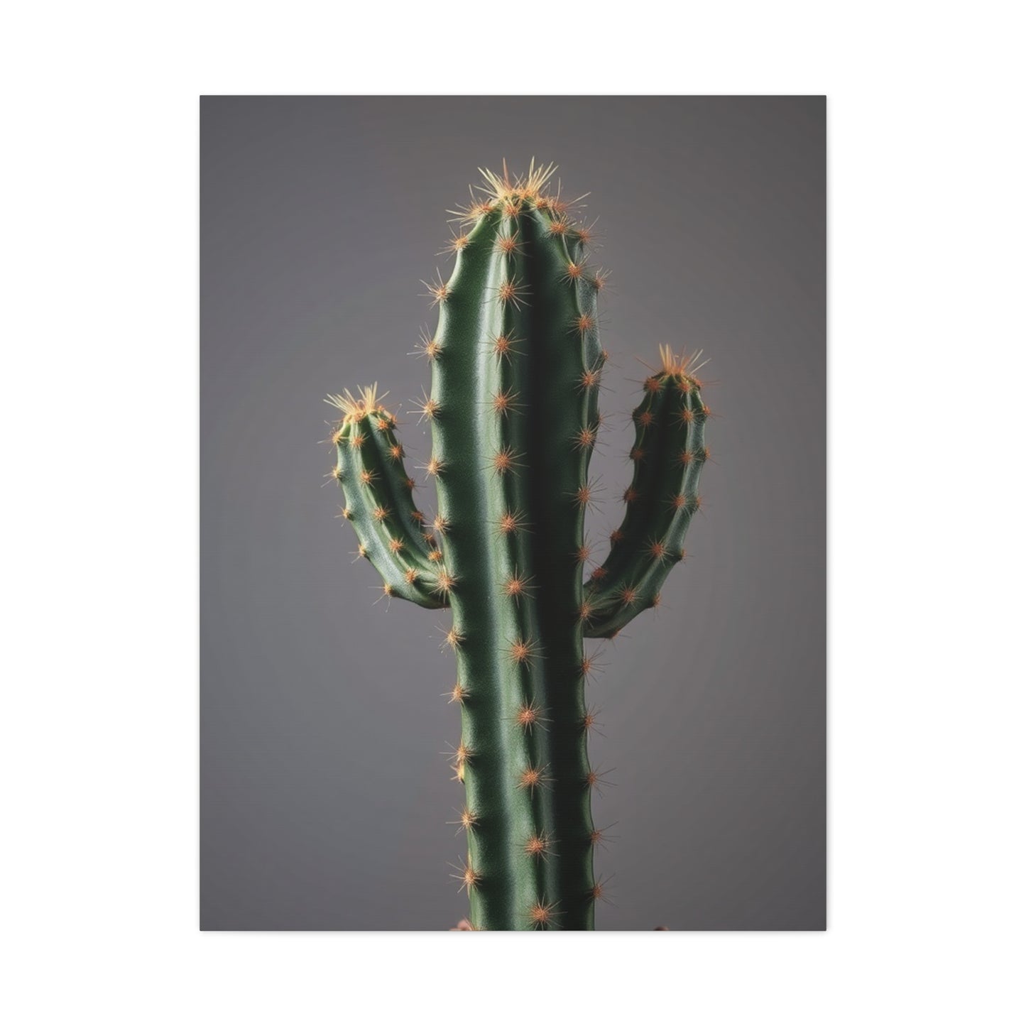 Succulent Reverie Art Wall Art & Canvas Print