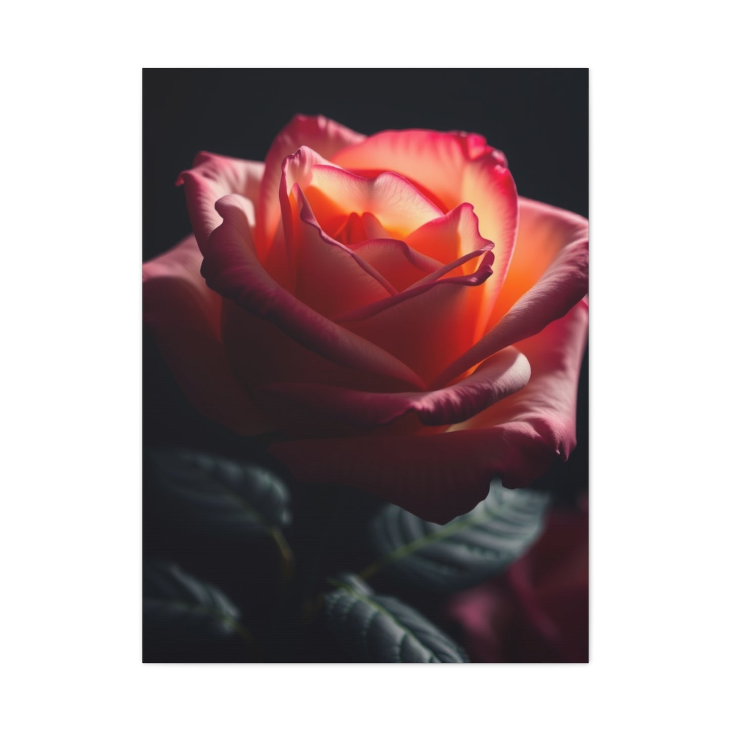 Vision Rose Flower Art Art Wall Art & Canvas Print