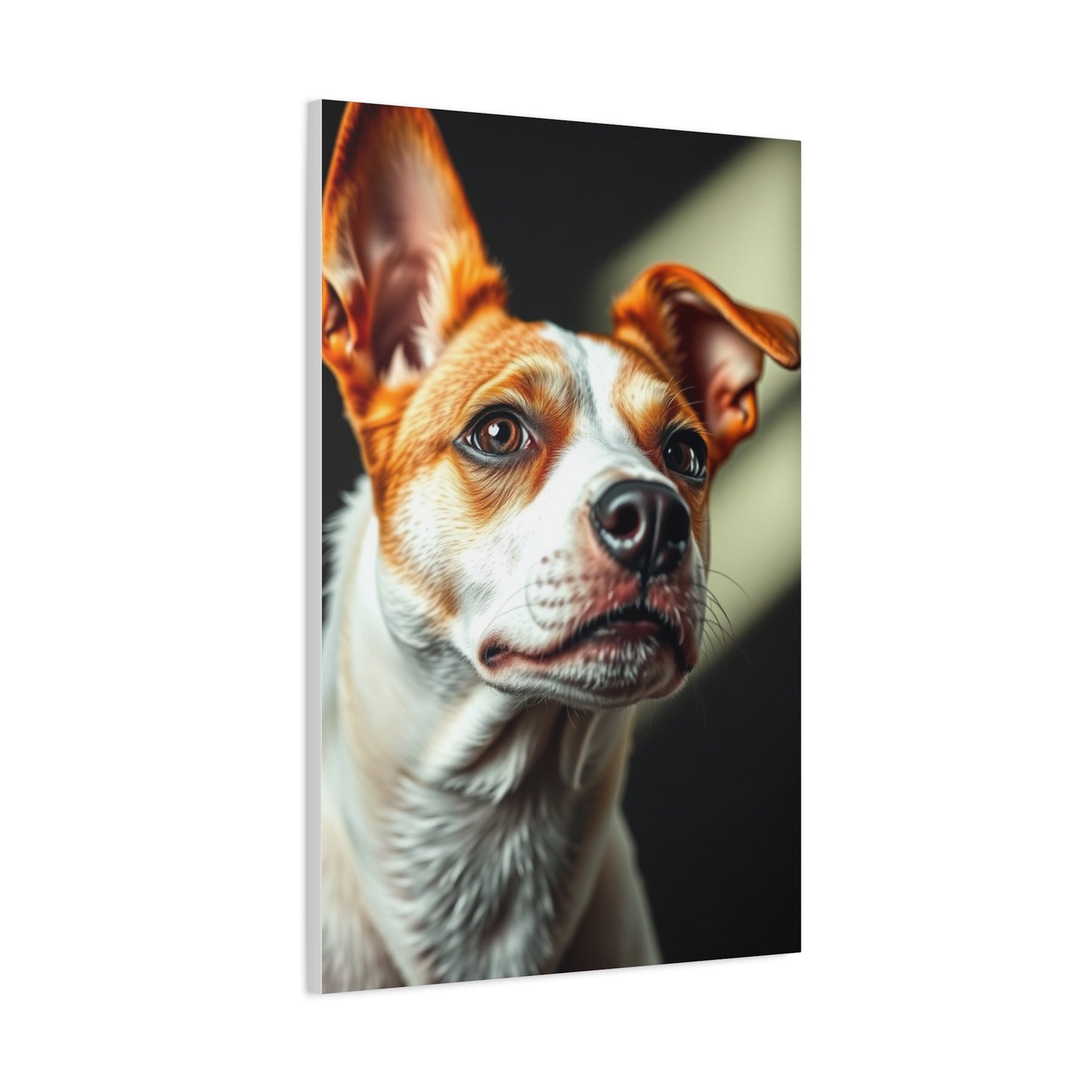 Supreme Jack Russell Terrier Art Collection Wall Art & Canvas Print