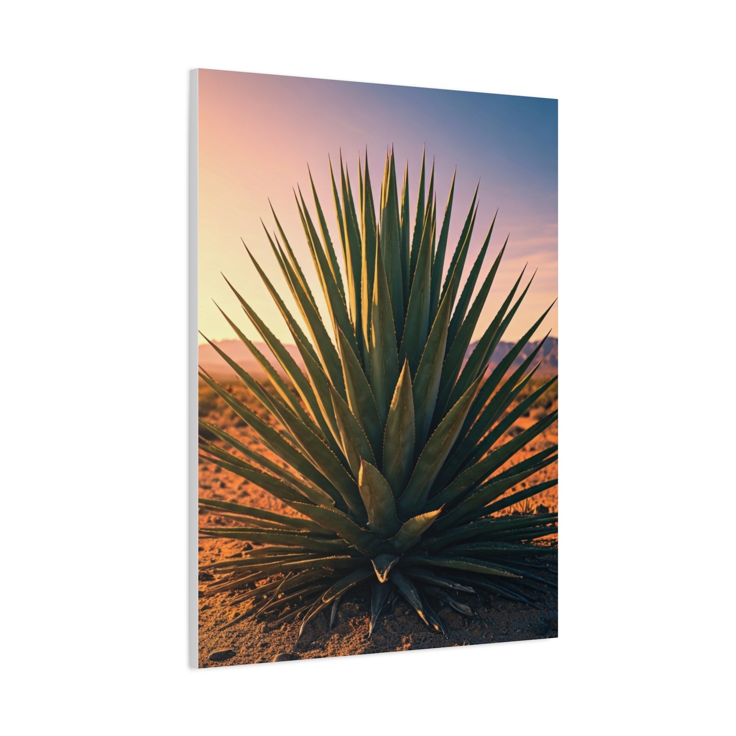 Desert Agave Sunburst Wall Art & Canvas Prints