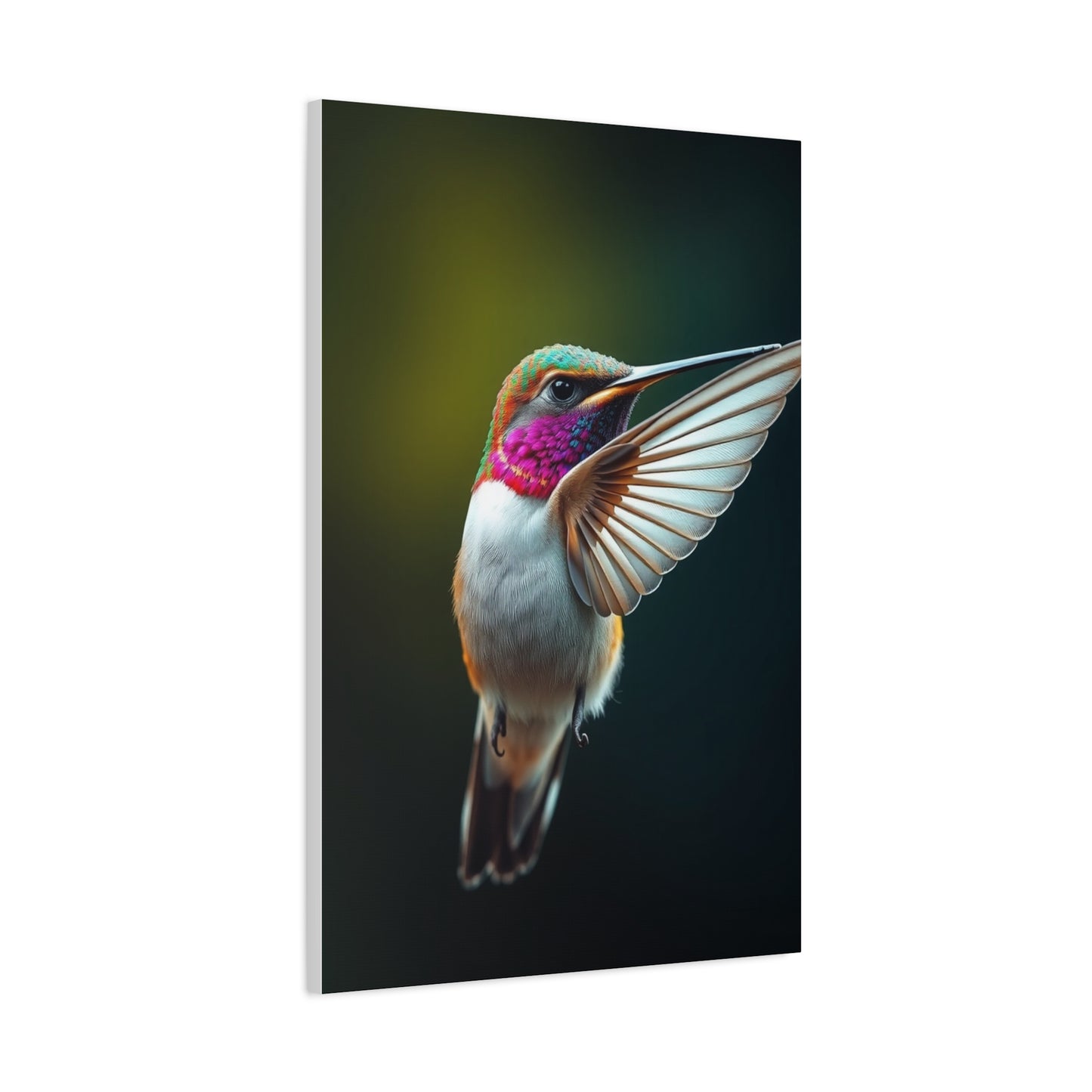 Humming Bird Art Supreme Gallery Wall Art & Canvas Print
