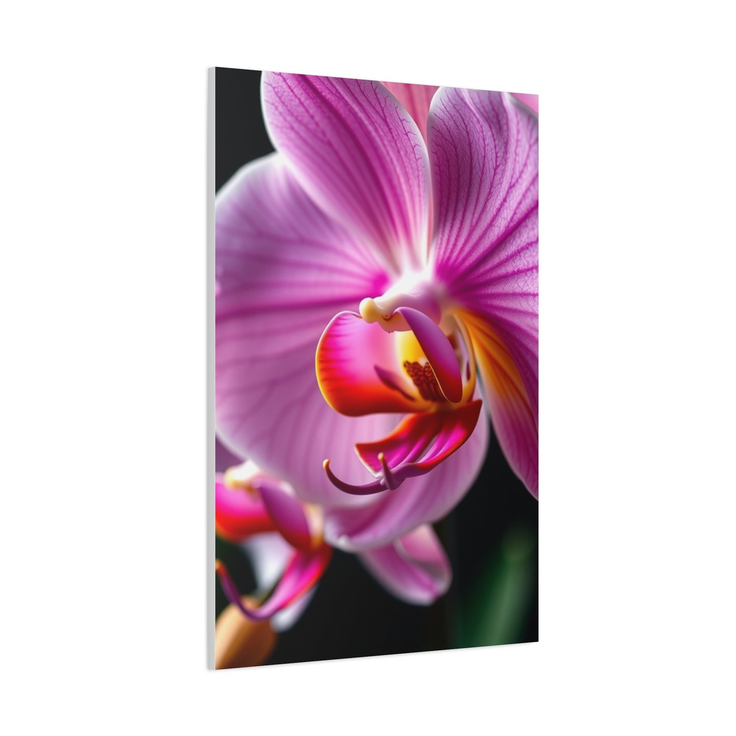 Masterpiece Orchid Flower Art Vision Wall Art & Canvas Print