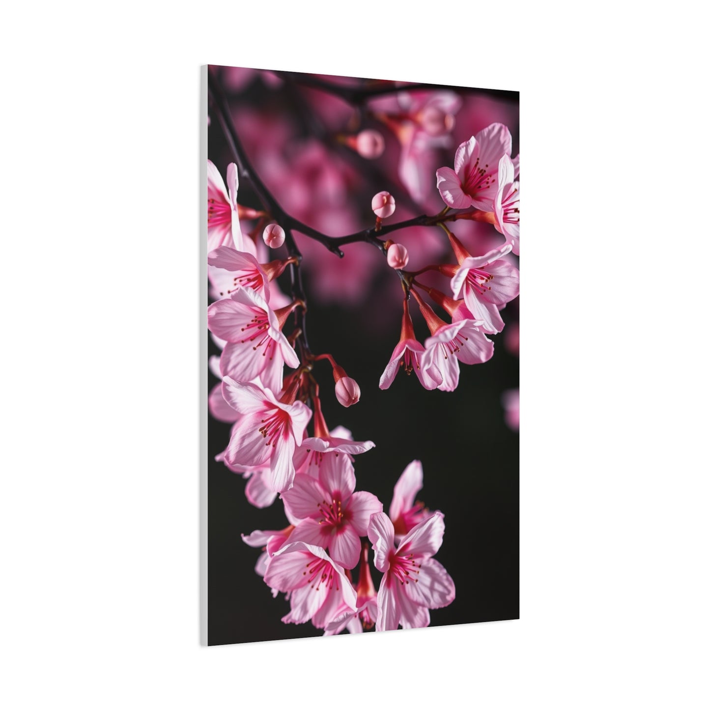 Supreme Cherry Blossom Wall Art Collection Wall Art & Canvas Print