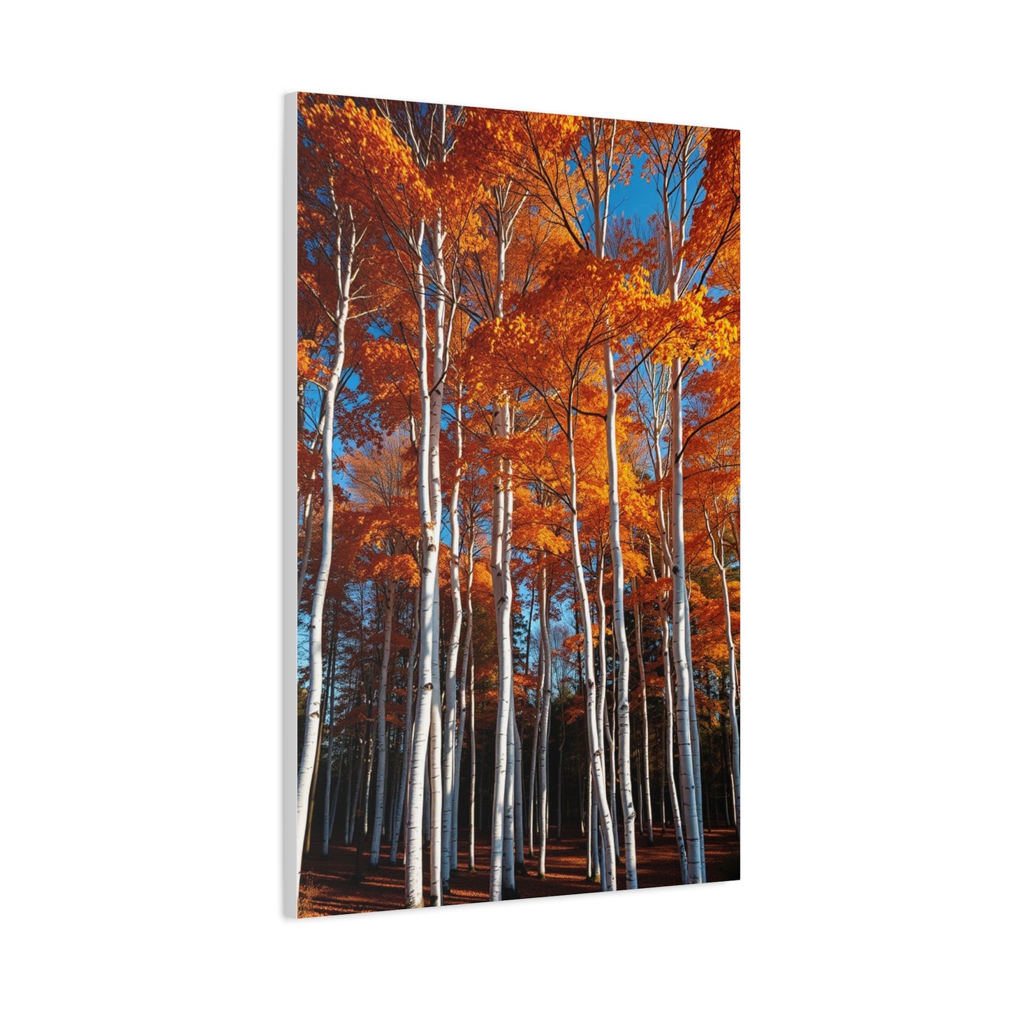 Aspen Tree Art Luxury Canvas Wall Art & Canvas Print