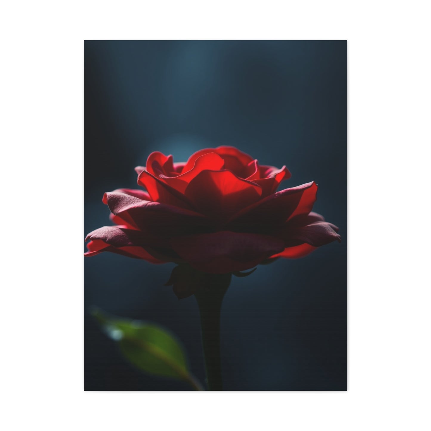 Ruby Infusion Canvas Wall Art & Canvas Print