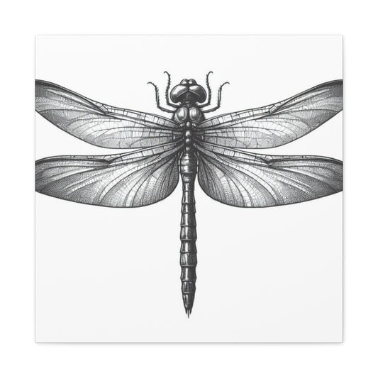 Top of Black Dragonfly Wall Art & Canvas Prints