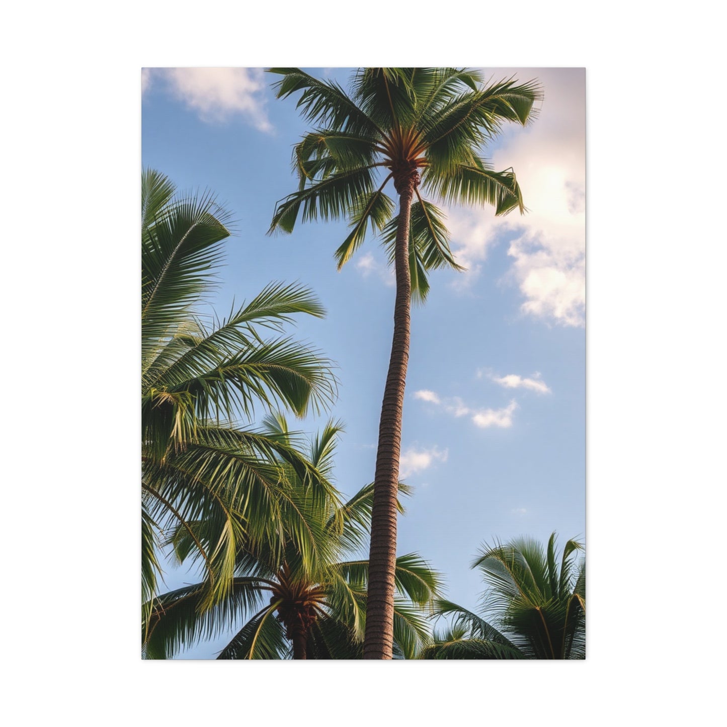 Serene Palms Composition Wall Art & Canvas Print