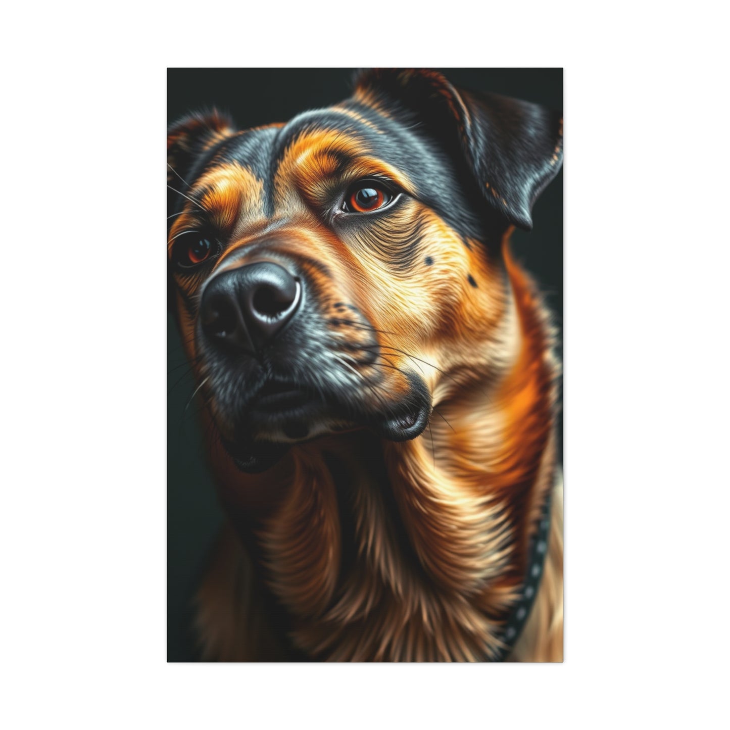 Black and Tan Art Supreme Gallery Wall Art & Canvas Print